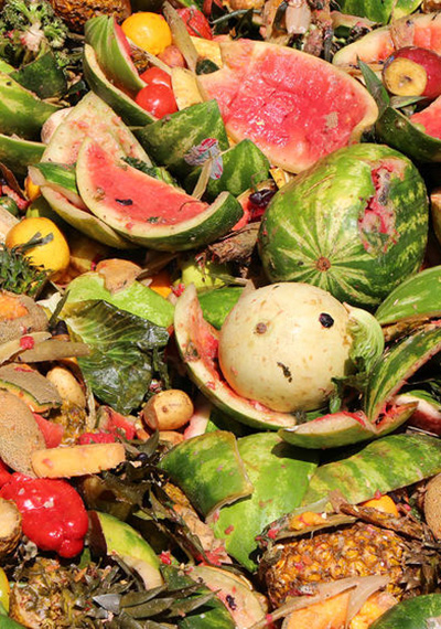 Food waste, o por qué no podemos darnos el lujo de botar comida