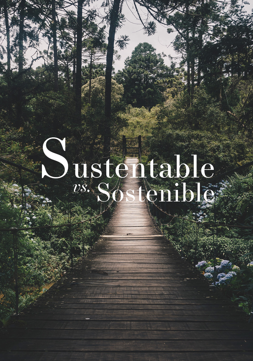 Sustentable vs. sostenible