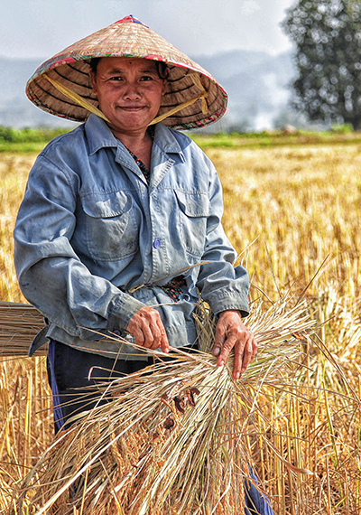 Las mujeres y las semillas